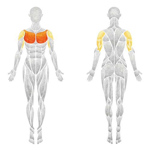 Single-Arm Dumbbell Bench Press