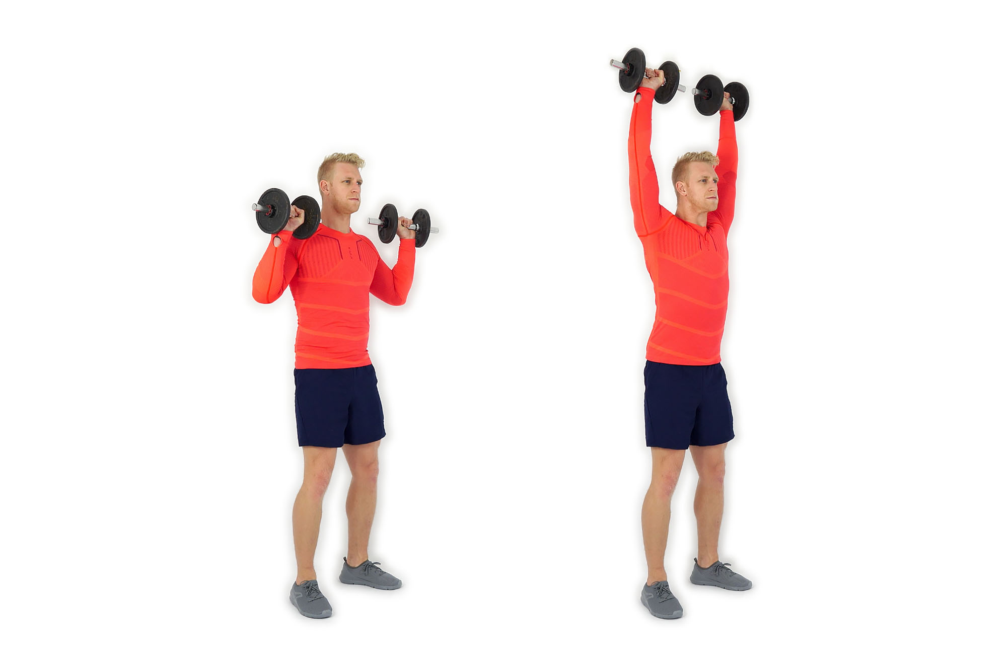 Dumbbell Overhead Shoulder Press XERX Dumbbell Overhead Shoulder Press XERX