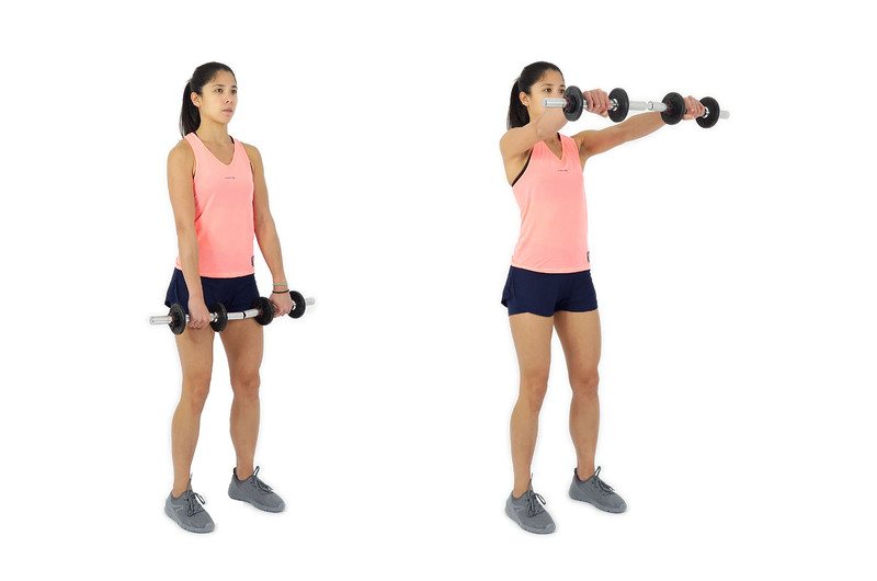 Standing Dual Front Dumbbell Raises 