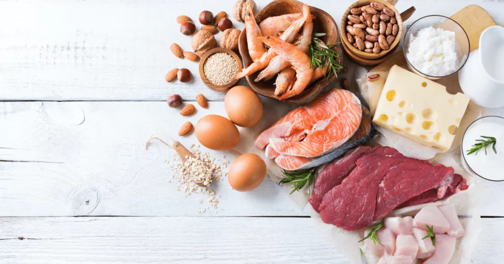 what-are-the-building-blocks-of-protein