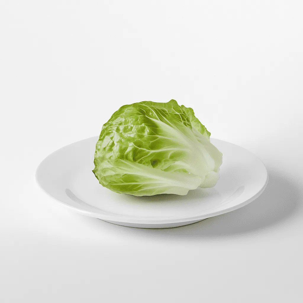 Iceberg Lettuce Macros